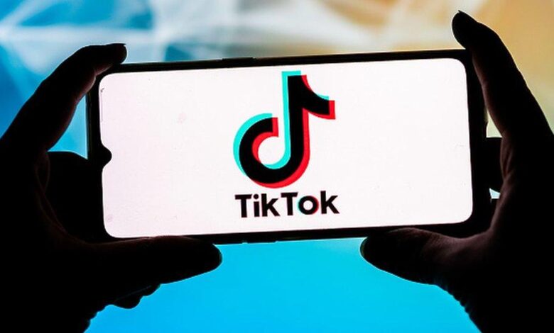 TikTok Friends