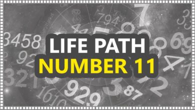 Life Path Number 11